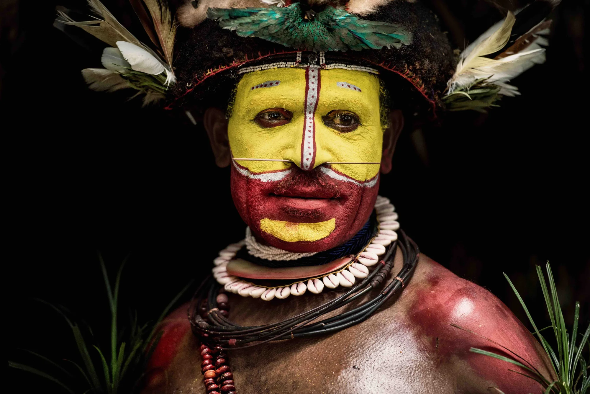 Papuan par Trevor Cole